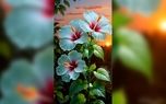 یک خبر عاشقانه برای فردا + فیلم